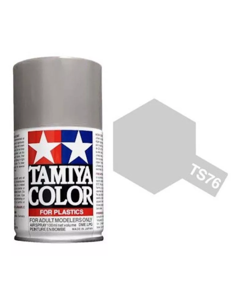 TS76 Argent clair metal Bombe 100ml