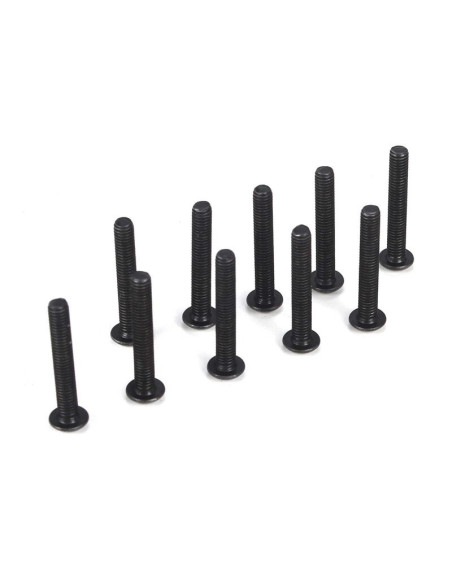 Vis à tête ronde M3x20 (10 pièce )