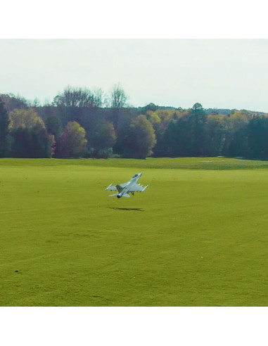 Simulateur RealFlight Evolution RC (soft)