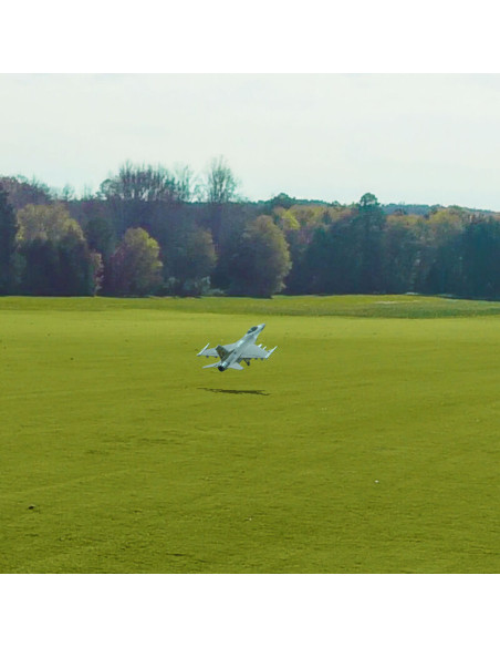 Simulateur RealFlight Evolution RC (soft)