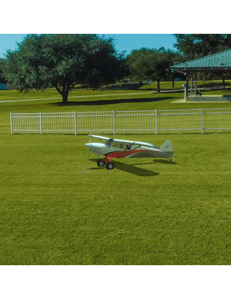 Simulateur RealFlight Evolution RC (soft)