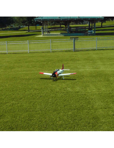 Simulateur RealFlight Evolution RC (soft)