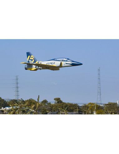 Jet FMS Viper V2 15 ème anniversaire PNP