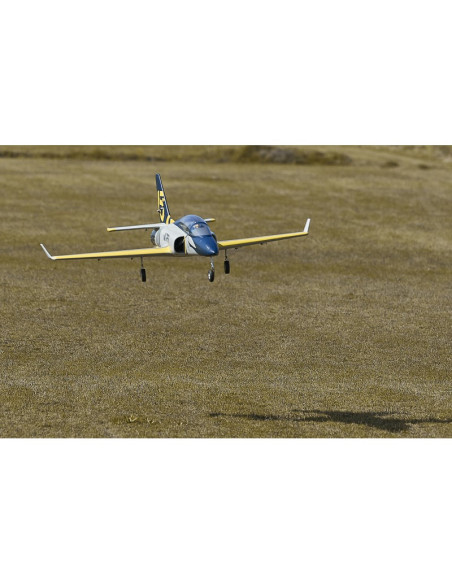 Jet FMS Viper V2 15 ème anniversaire PNP