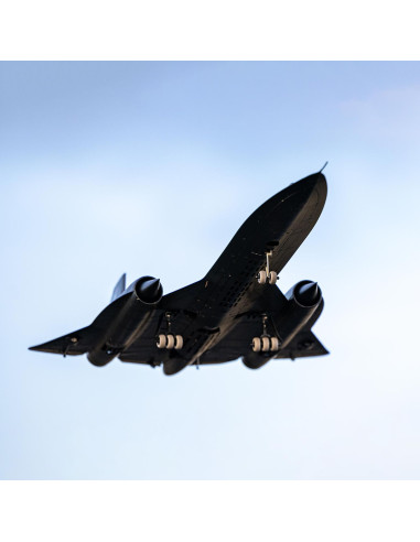 Lockheed SR-71 BlackBird BNF Basic 2 turbines E-flite EFL02050