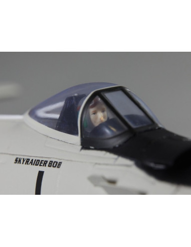 Warbird A1 Skyraider 800 mm gris PNP Derbee