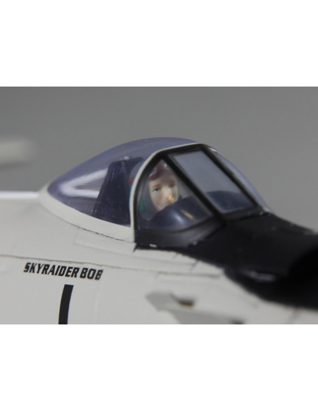 Warbird A1 Skyraider 800 mm gris PNP Derbee