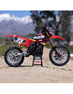 Moto RC losi Promoto MX RTR Rouge 2