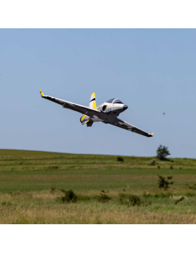 Le Viper 64mm d'E-flite allie performance, tension et facilité de pilotage.