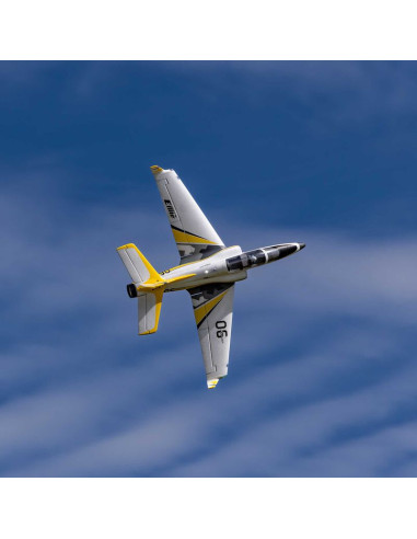 Le Viper 64mm d'E-flite allie performance, tension et facilité de pilotage.