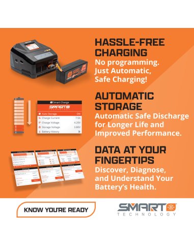 Chargeur S100 Smart 100W USB + Alimentation 220V Spektrum SPMXC2090PI