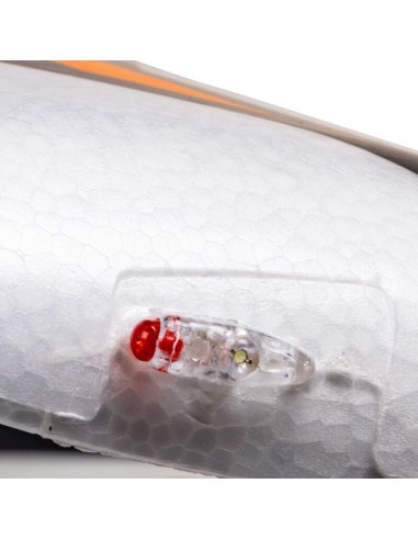 Night Timber X Evolution 1.2 BNF Basic EFL013850