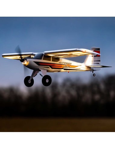 Night Timber X Evolution 1.2 BNF Basic EFL013850