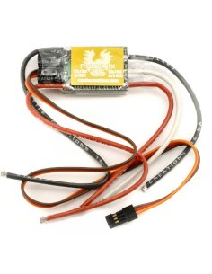 Contrôleur 35A Brushless Phoenix castle Creation