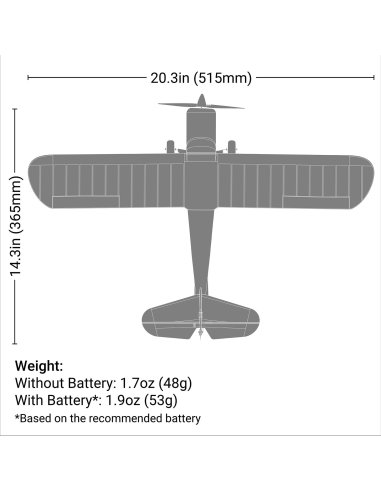 Avion de début Champ série 40 ème anniversaire 515 mm Complet HobbyZone HBZ04900