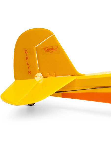 Avion de début Champ série 40 ème anniversaire 515 mm Complet HobbyZone HBZ04900