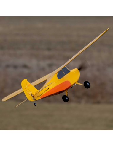 Avion de début Champ série 40 ème anniversaire 515 mm Complet HobbyZone HBZ04900