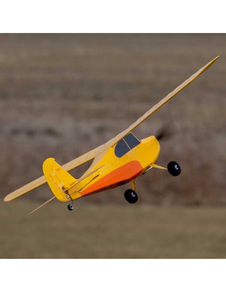 Avion de début Champ série 40 ème anniversaire 515 mm Complet HobbyZone HBZ04900