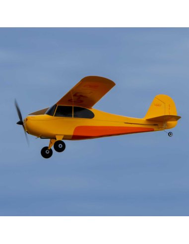 Avion de début Champ série 40 ème anniversaire 515 mm Complet HobbyZone HBZ04900