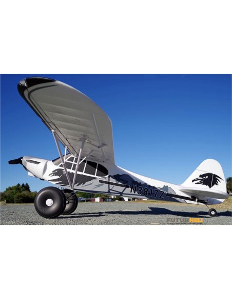 PA18 version V2 vue de coté