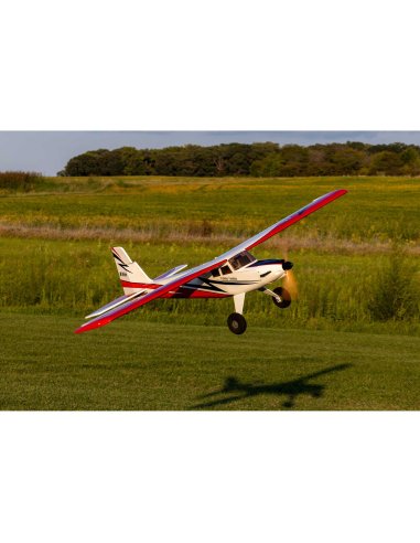 Turbo Timber 2m SWS bois BNF + AS3X / Safe EFL71750