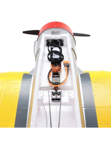 Texan e-flite vue de dedans