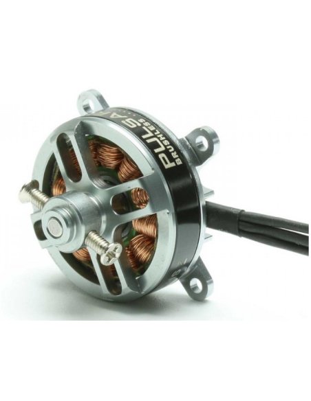 Moteur brushless indoor futurheli