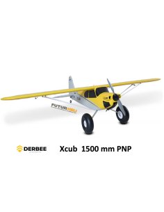 Derbee avion XCub distribution Futurheli