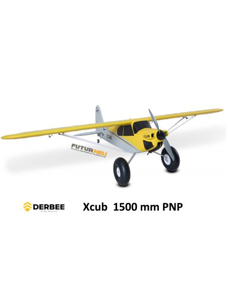 Derbee avion XCub distribution Futurheli