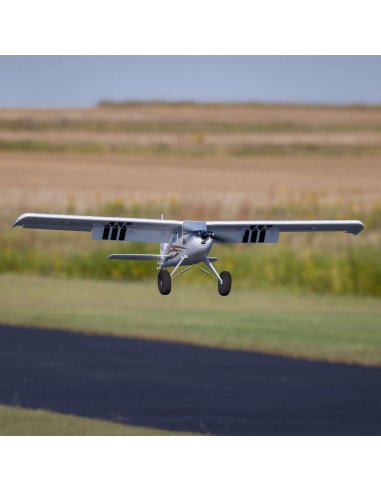 Timber 1,5 Stol 10 ème anniversaire PNP / BNF au choix