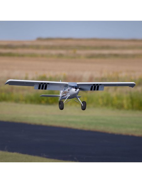 Timber 1,5 Stol 10 ème anniversaire PNP / BNF au choix