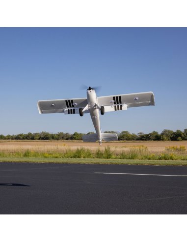 Timber 1,5 Stol 10 ème anniversaire PNP / BNF au choix