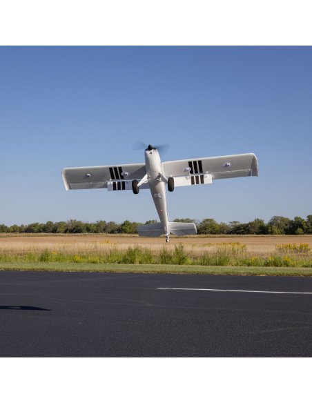 Timber 1,5 Stol 10 ème anniversaire PNP / BNF au choix