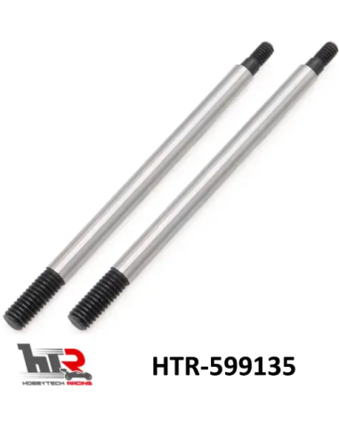 Tige amortisseur (x2) HTR 1/8 Longueur 56mm diam 2