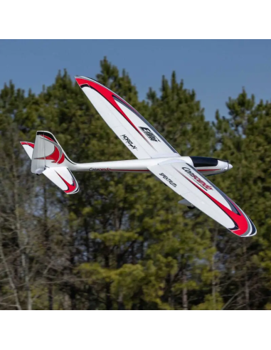 Conscendo  env 2M 2026 avec volets PNP ou BNF E-flite