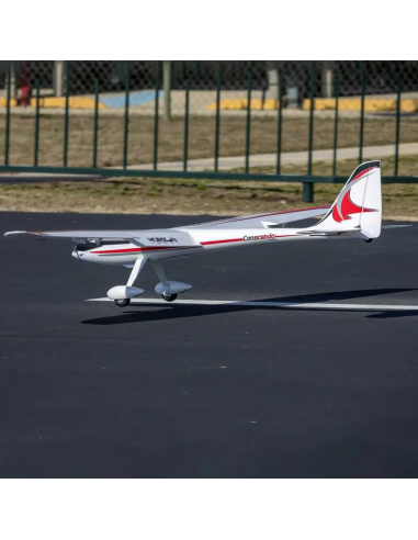 Conscendo  env 2M 2026 avec volets PNP ou BNF E-flite