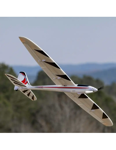 Conscendo  env 2M 2026 avec volets PNP ou BNF E-flite