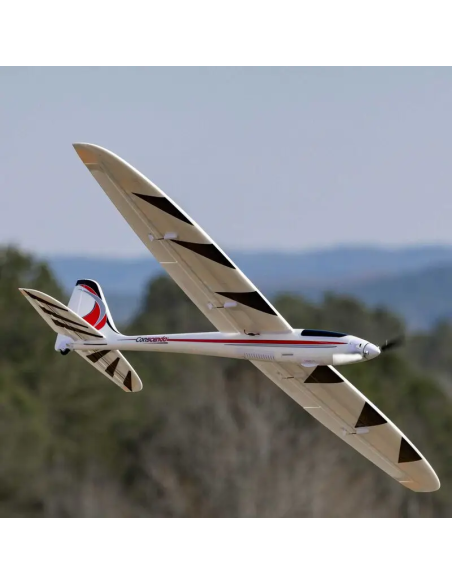 Conscendo  env 2M 2026 avec volets PNP ou BNF E-flite