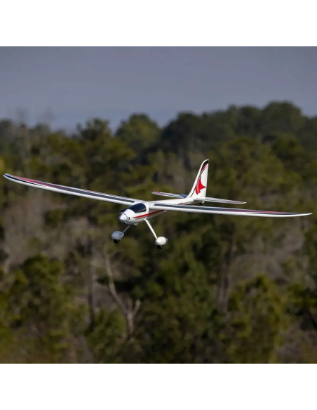 Conscendo  env 2M 2026 avec volets PNP ou BNF E-flite