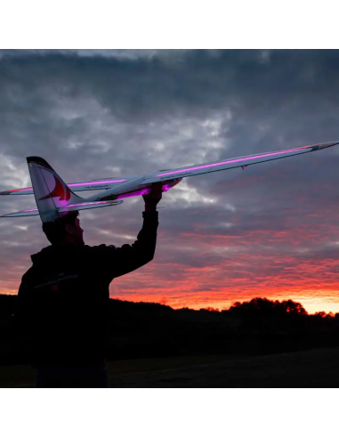 Conscendo  env 2M 2026 avec volets PNP ou BNF E-flite