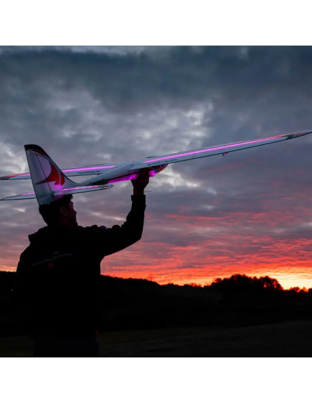 Conscendo  env 2M 2026 avec volets PNP ou BNF E-flite