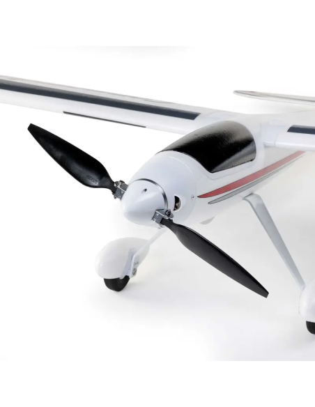 Conscendo  env 2M 2026 avec volets PNP ou BNF E-flite