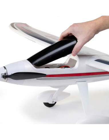 Conscendo  env 2M 2026 avec volets PNP ou BNF E-flite