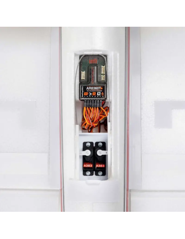 Conscendo  env 2M 2026 avec volets PNP ou BNF E-flite