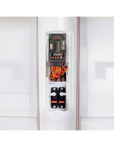 Conscendo  env 2M 2026 avec volets PNP ou BNF E-flite