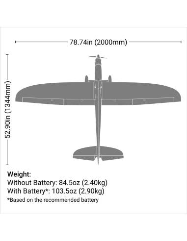 Conscendo  env 2M 2026 avec volets PNP ou BNF E-flite