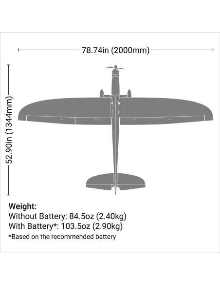 Conscendo  env 2M 2026 avec volets PNP ou BNF E-flite