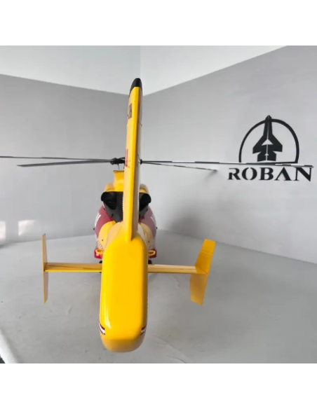 Vue arrière dauphin Roban Futurheli