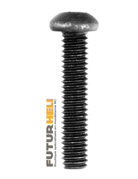 Vis tête bombé BTR 2x10 mm ( x6 ) futurheli