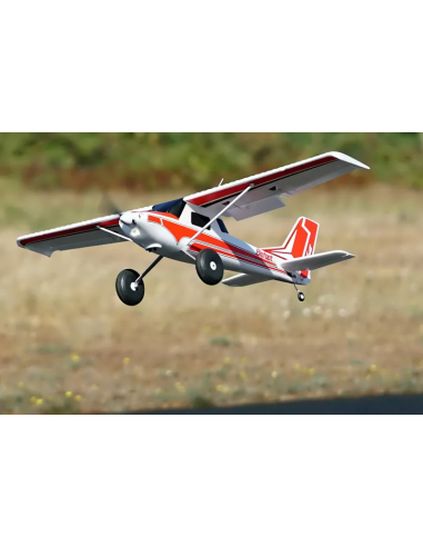 BigFoot 1300 mm PNP + vector